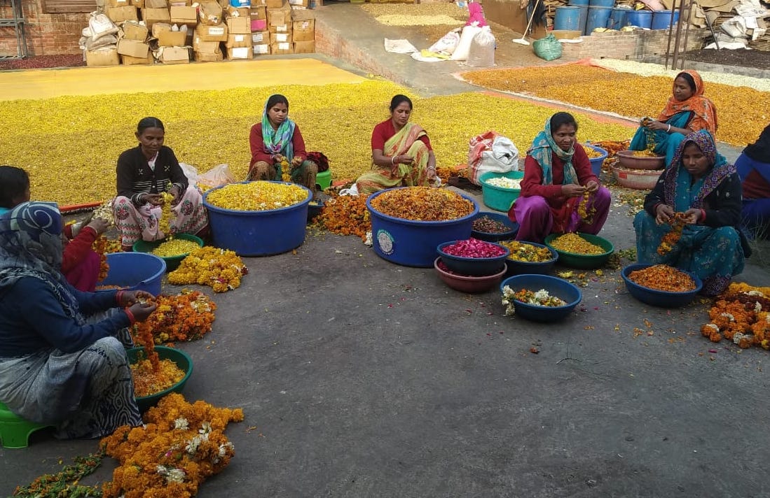 Phool Flowercyclers