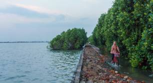 Indonesia - photo by Dhana Kencana via Climate Visuals