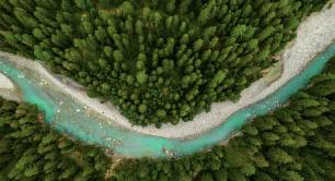 A river flowing through a forest