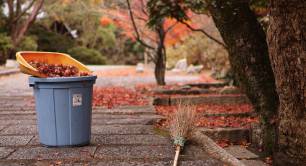 Sweeping up leaves_Autumn